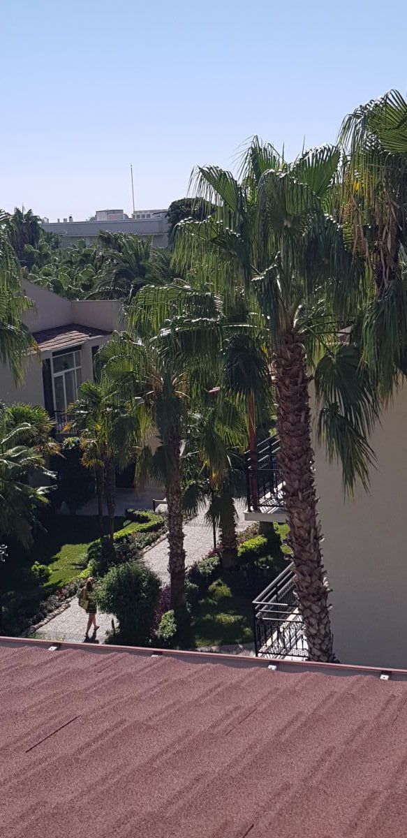 imagini hotel PALOMA OCEANA